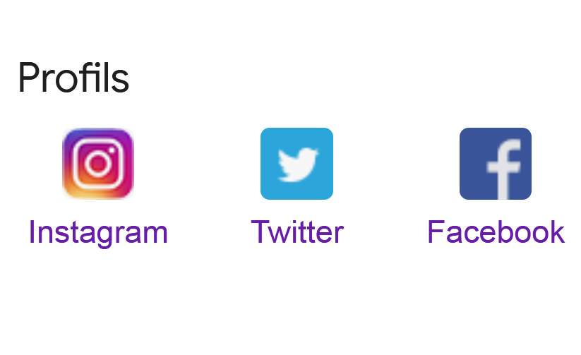 fiche google reseaux sociaux